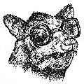 avatar for kidlit@bookwyrm.youngram.net
