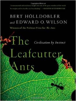 Bert Hölldobler: The Leafcutter Ants (Paperback, 2010, W. W. Norton)