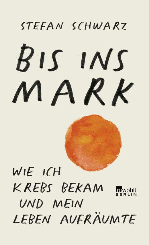 Stefan Schwarz: Bis ins Mark (Hardcover, Deutsch language, Rowohlt Berlin)
