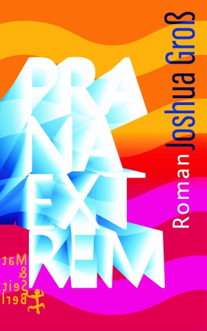Joshua Groß: Prana Extrem (Hardcover, Deutsch language, Matthes & Seitz Berlin)