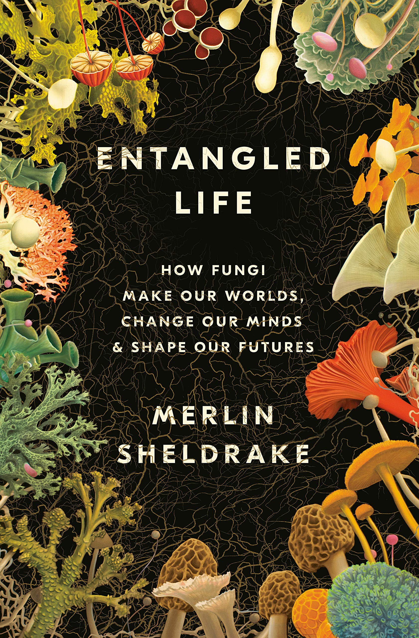 Entangled Life: How Fungi Make Our Worlds, Change Our Minds & Shape Our Futures (2020)