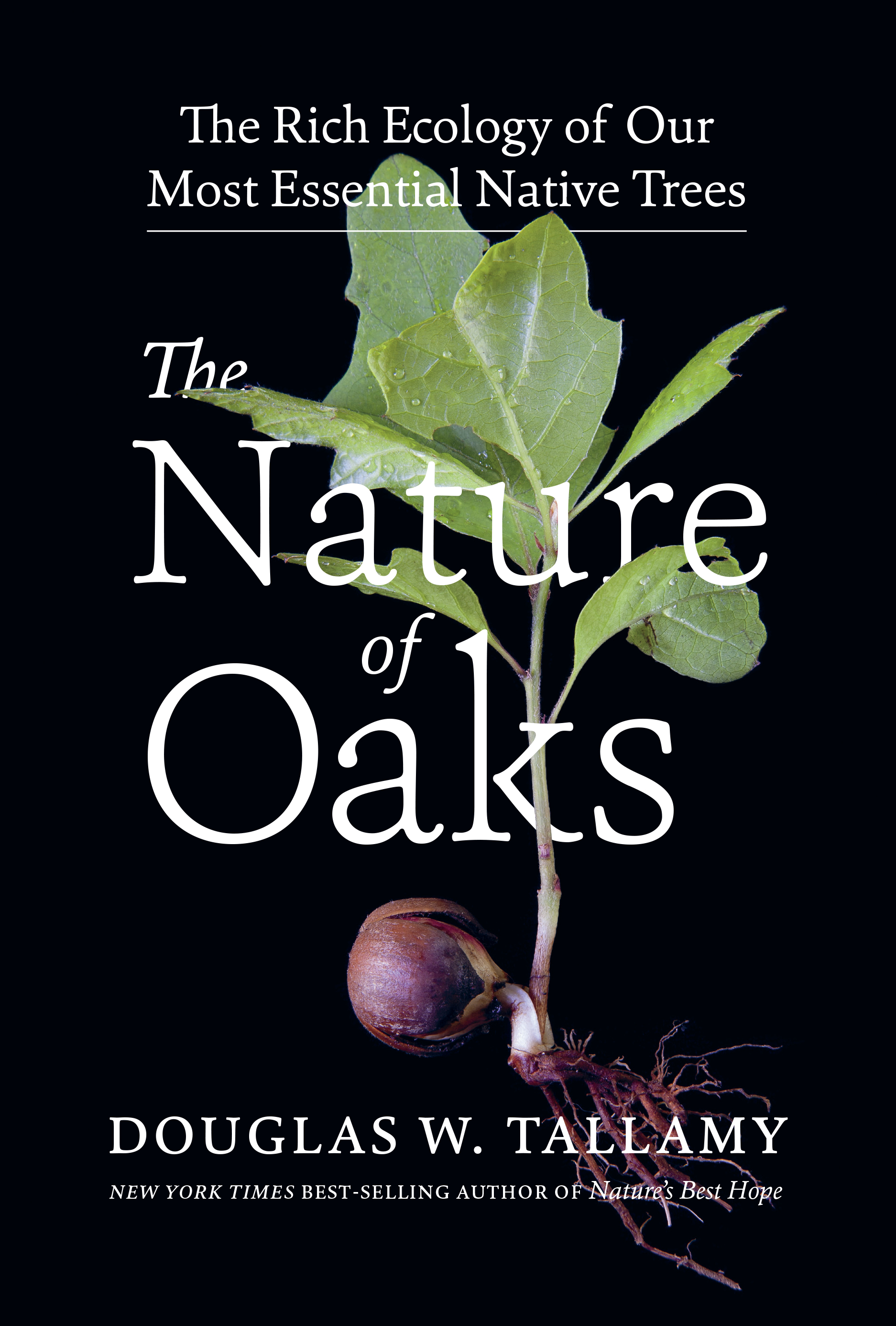 Douglas W. Tallamy: Nature of Oaks (2021, Timber Press, Incorporated)