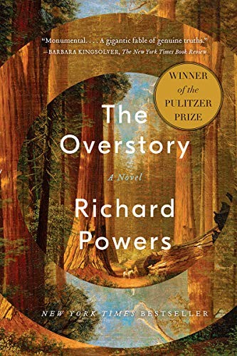 Richard Powers: The Overstory (Paperback, 2019, W. W. Norton & Company)