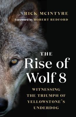 Rick McIntyre, Robert Redford: The Rise of Wolf 8: Witnessing the Triumph of Yellowstone's Underdog (2019, Greystone Books)