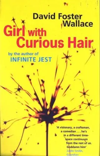 David Foster Wallace: Girl with Curious Hair (1997, Abacus)