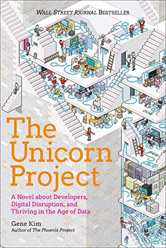 The Unicorn Project (2019, IT Revolution Press)