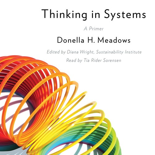 Donella H. Meadows, Diana Wright: Thinking in Systems (AudiobookFormat, Chelsea Green Publishing)