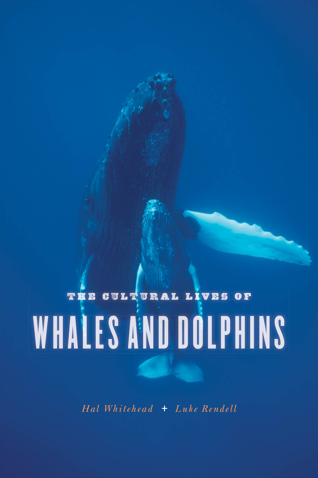 Hal Whitehead, Luke Rendell: Cultural Lives of Whales and Dolphins (2015, University of Chicago Press)